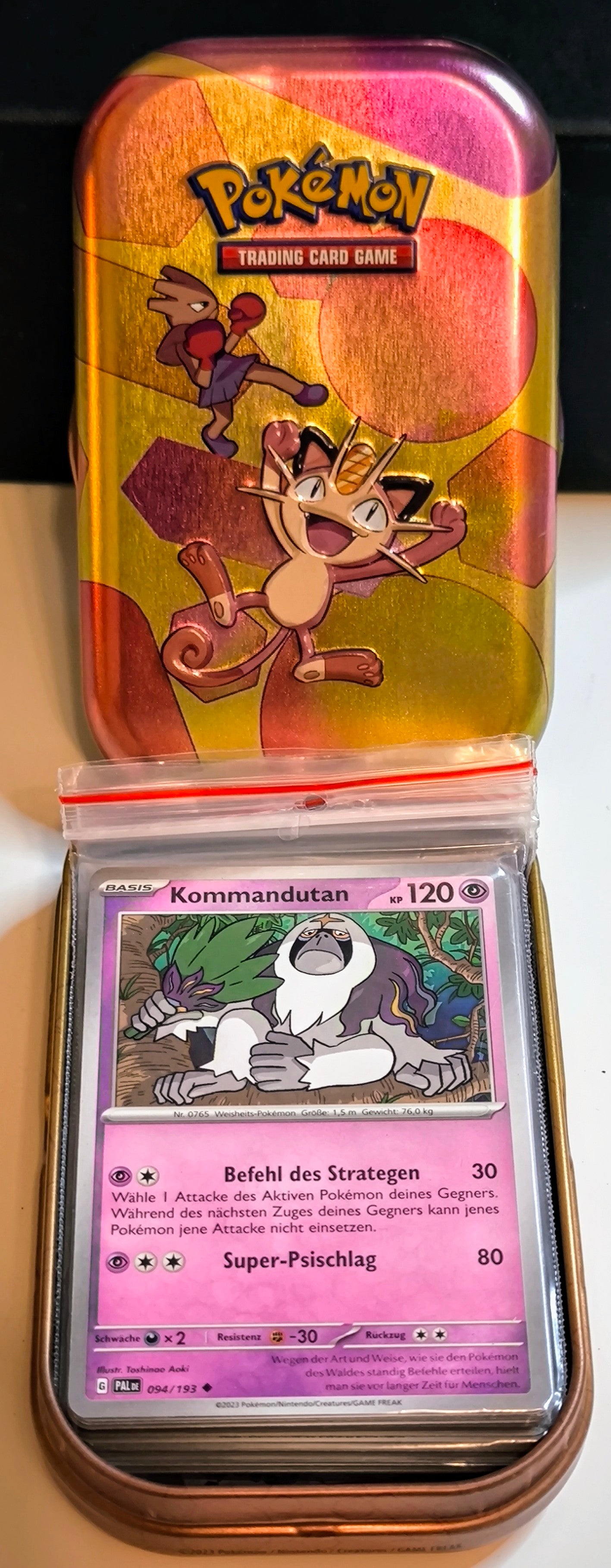 50 Pokémon Karten Mini Tin Set "Mauzi & Nockchan"